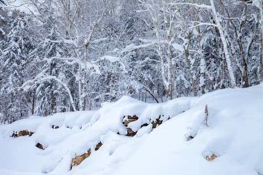 黑龙江省双峰林场雪乡