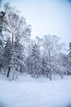 黑龙江省双峰林场雪乡