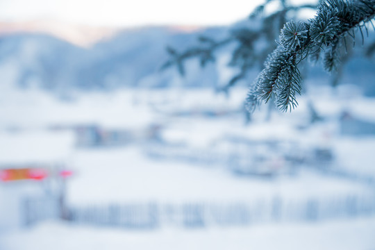 黑龙江省双峰林场雪乡