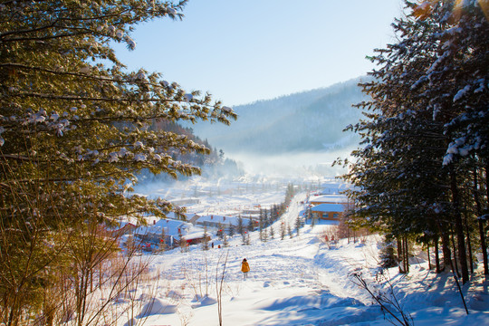 黑龙江省双峰林场雪乡