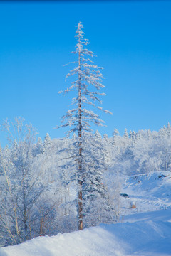 黑龙江省双峰林场雪乡