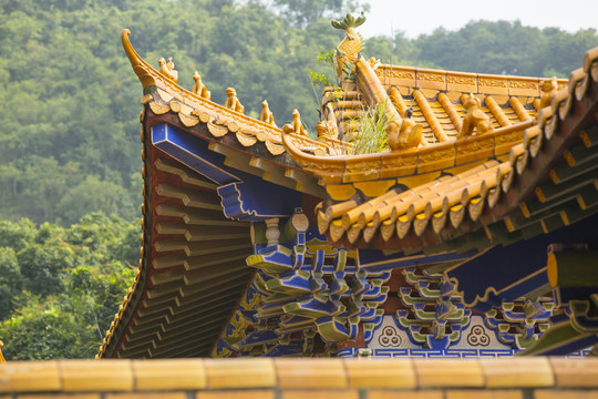 惠州市惠阳区秋长街道观音禅寺