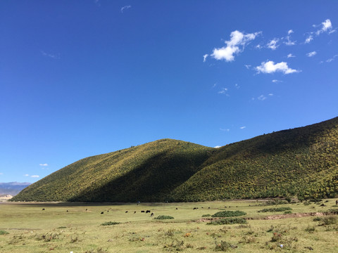 山川草地