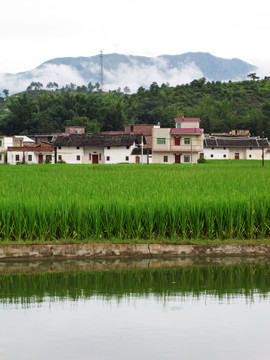 新农村建设