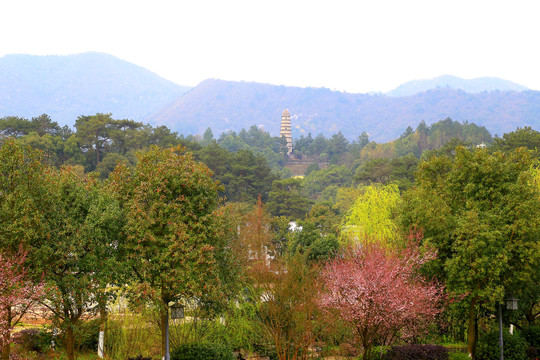 韶山毛领袖故居风光