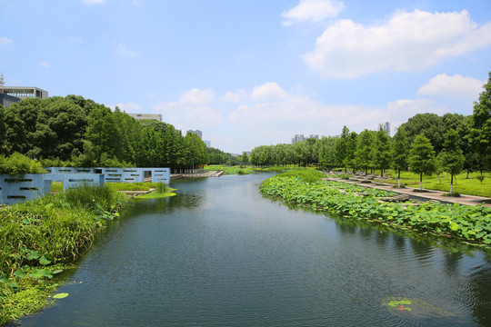 宁波湿地风光