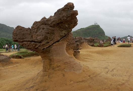 野柳地质公园海蚀地形