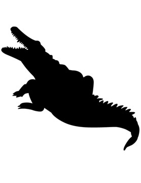 鱷魚剪影