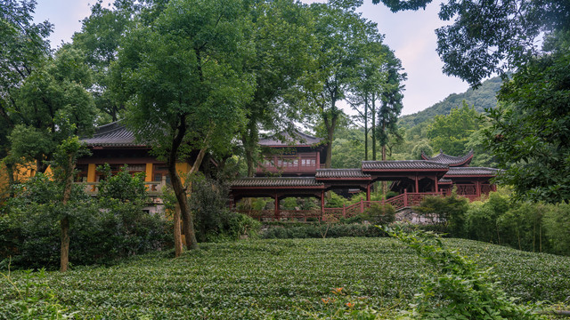 杭州林隐寺