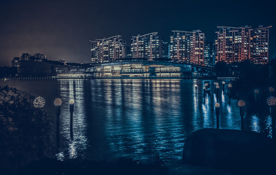 夏阳湖夜景