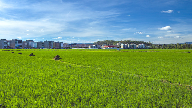 绿水青山屏保