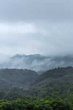 雾色山峦