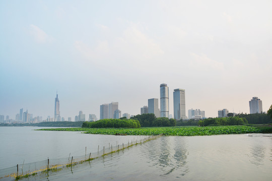 玄武湖风光