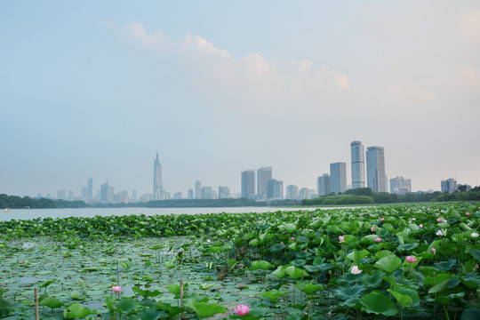 玄武湖风光