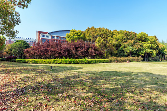 上海交通大学