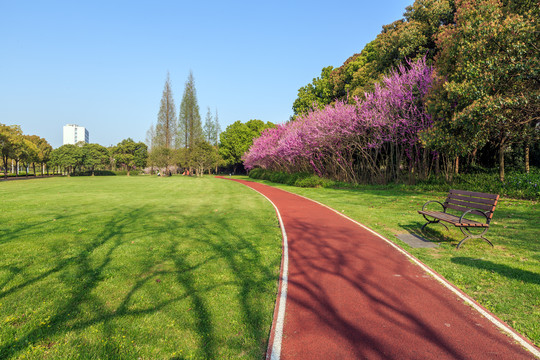 上海交通大学