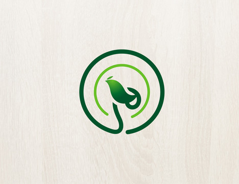 logo標(biāo)志商標(biāo)字體設(shè)計(jì)鳥(niǎo)
