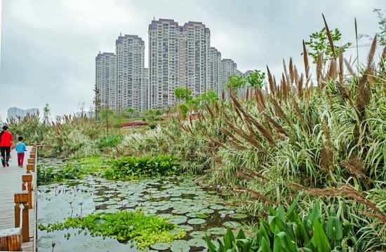 那考河湿地公园海绵城市