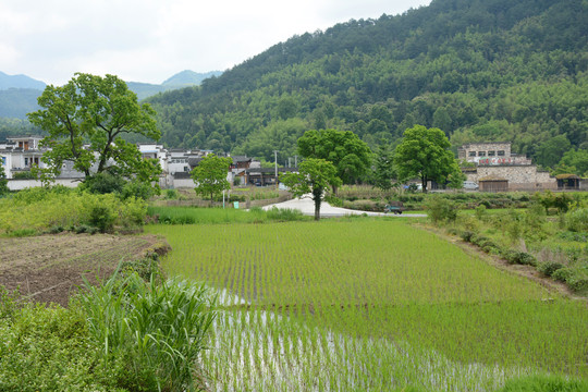 山村