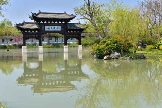 瘦西湖锦泉花屿