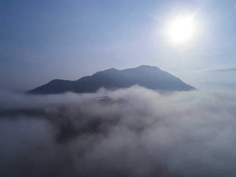 雾风景