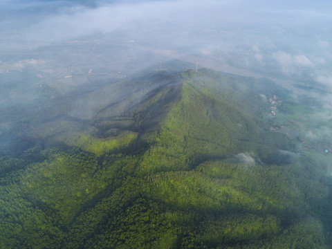 清晨