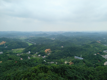 丛林大山