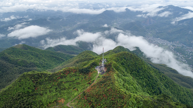 杨岐山风光