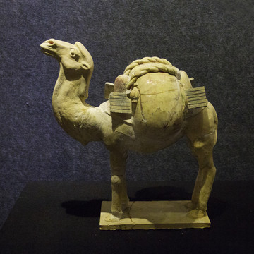 唐彩绘釉陶载物骆驼
