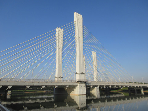 郑州龙湖斜拉索桥