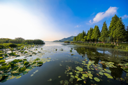 宁波马山湿地