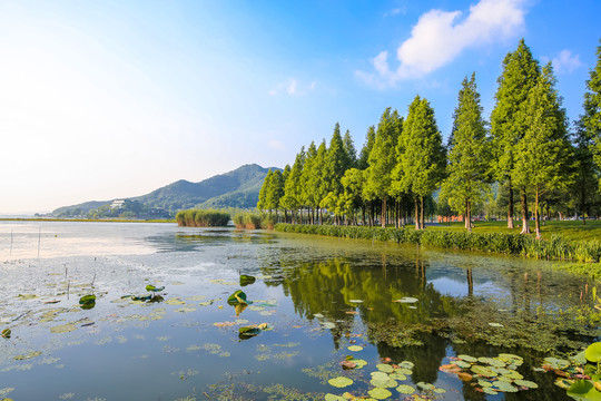 宁波马山湿地