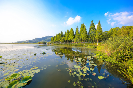 宁波马山湿地