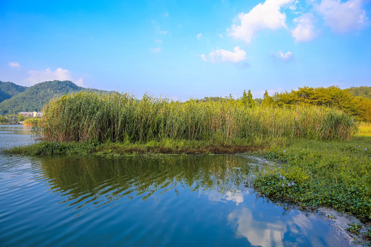 宁波马山湿地