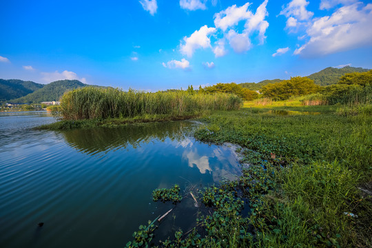 宁波马山湿地