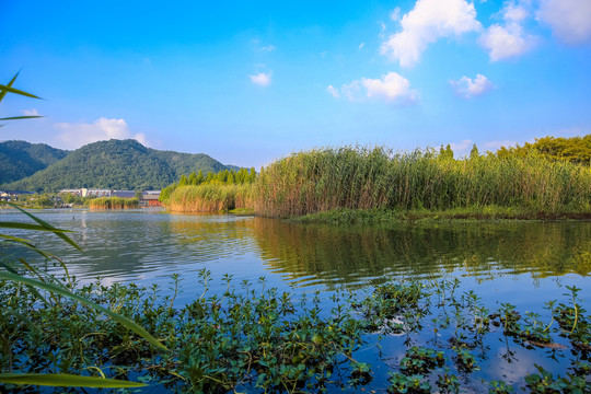 宁波马山湿地