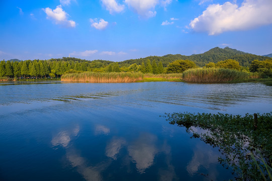 宁波马山湿地