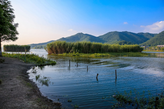 宁波马山湿地