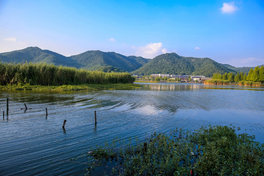 宁波马山湿地