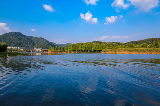 宁波马山湿地