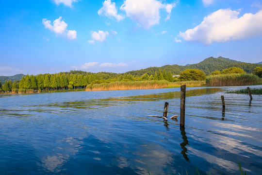 宁波马山湿地