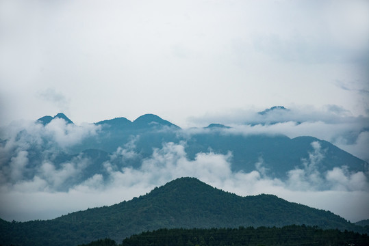 高山云雾