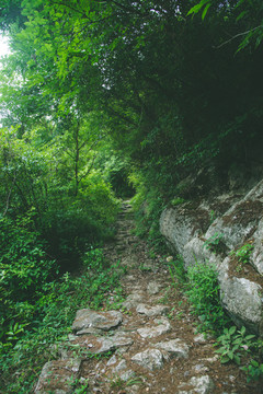 深山的山间石头小路