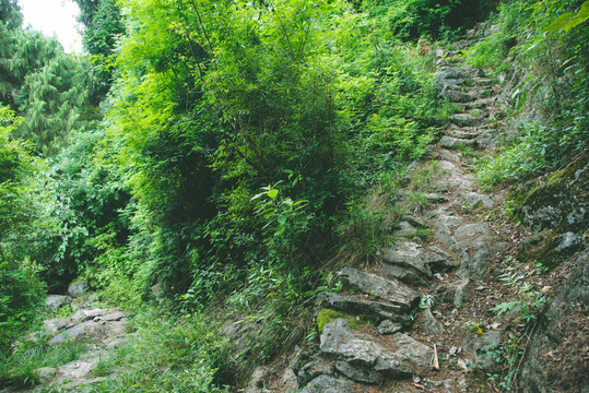 深山的山间石头小路