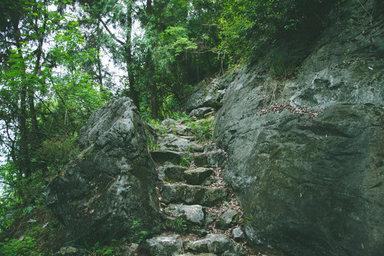 山林中石头道路