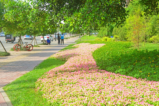 城市公共绿地园林设计之路沿花境