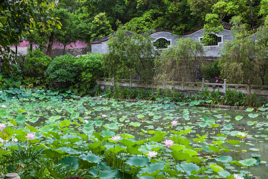 国恩寺的园林景观