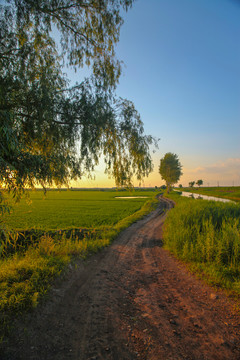 乡间小路