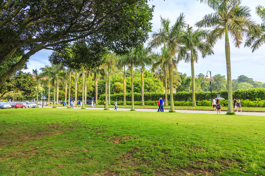 厦门大学校园风光