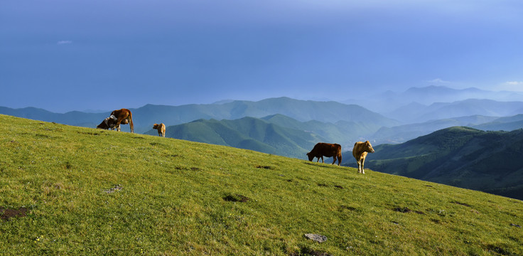 壮美山景